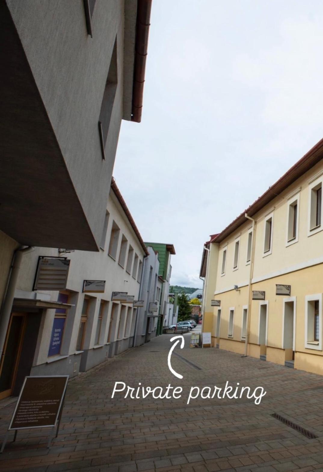 Alure Residences 10 - 24H Self Check-In & Private Parking Next To The Apartment Building Included, City Center Right On Snp Square In A Quiet Passage, New Building, Best Deal In Town 班斯卡-比斯特里察 外观 照片
